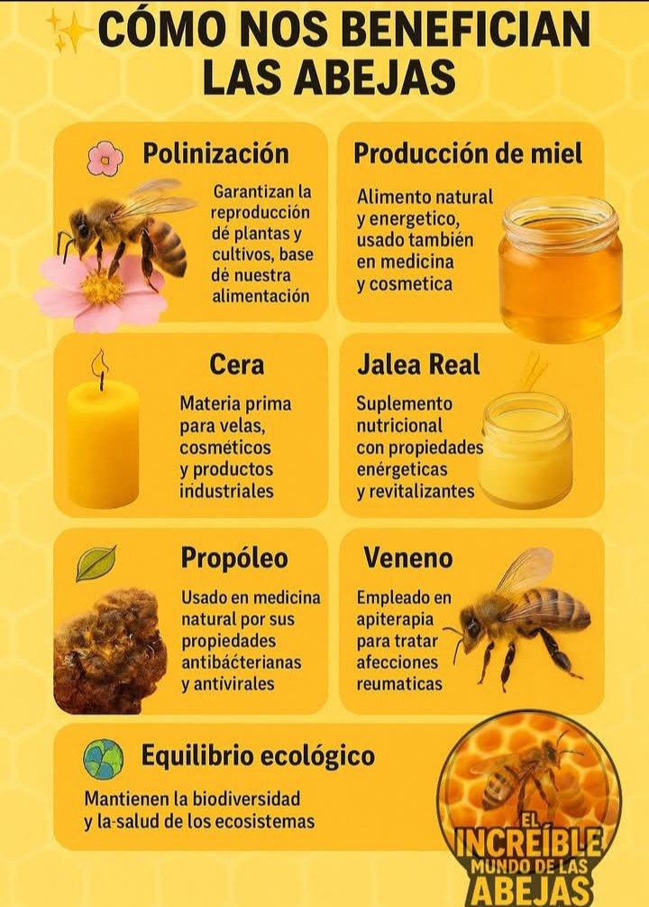 Abejas