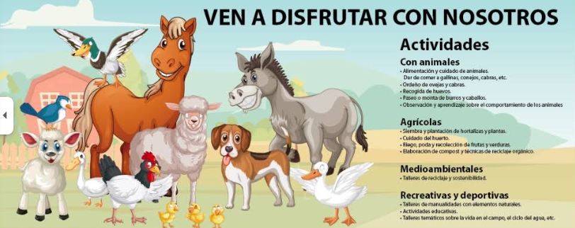 Actividades