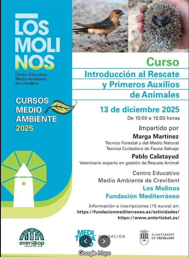 Curso